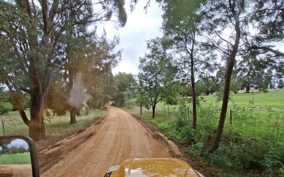 crushed rock driveway running between trees on a rural block
